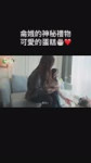 VID20261013123502888.mp4