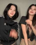 giphy.gif