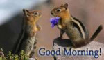 Cute-Morning-Wish-wg66.jpg