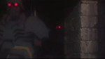 15916307782580.webm