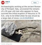 pompeii death by a rock.jpg