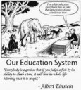 Our educational system Наша образовательная система.jpg