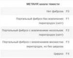метавир.jpg