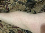 C9091677-5E0F-4CC4-AD88-5A339A799177.jpeg
