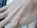 IMG20190226114351.jpg
