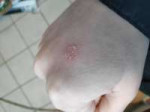 IMG20190226114653.jpg