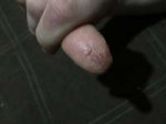 D4CD262C-CA7E-499C-9209-15D8E5EBA4D6.jpeg