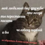 SpYbIe6qxnY.jpg