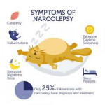 narcolepsy3-1.jpg