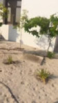 o0LEFyx4Qd5EUy8B4z5DfBYRguAFgf8gFjonIq.mp4