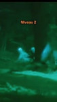 dreamthemask02025-06-01-21-17-101748801830042.mp4