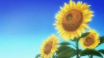Evergarden.png