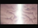 1625753232345.mp4