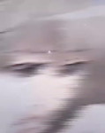 VID20250611145320531.mp4