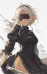 .jpg