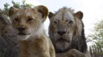 The Lion King (2019) 1080p-2.webm