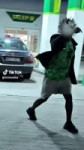 FlhlWxqkOG1nXeL.mp4