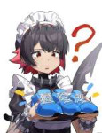 .jpg