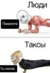 люди таксы.jpg