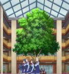 vlcsnap-2025-05-21-02h03m13s328stitch.jpg