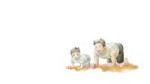 vlcsnap-2025-05-25-21h33m42s317.jpg