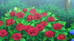 vlcsnap-2025-05-26-01h55m30s962.jpg