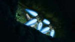 vlcsnap-2025-05-27-21h54m41s369.jpg