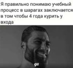 17491464754533.jpg