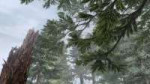 Zatsu Tabi - 09 [1080p].mkvsnapshot02.18[2025.06.0218.50.17].jpg