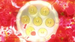 The.Rose.of.Versailles.1080p.Dual.Audio.WEBRip.10.bits.DD+.x265-EMBER.webm
