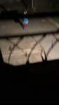 1626468378745.mp4