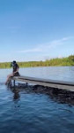 TikSave.io7512835388118011158.mp4