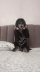 Edit Lil Peep - U Said.mp4