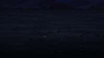 vlcsnap-2025-06-12-22h26m33s671.jpg