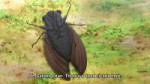vlcsnap-2025-06-12-23h46m03s115.jpg