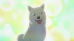 vlcsnap-2025-06-15-00h25m42s455.jpg