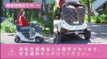 vlcsnap-2025-06-15-05h30m19s642.jpg