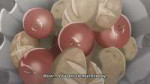 vlcsnap-2025-06-15-21h18m19s848.jpg