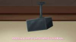 vlcsnap-2025-06-15-22h36m15s672.jpg