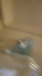 2Rf9leHfSO6UoJ9V.mp4