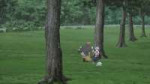 vlcsnap-2025-06-23-21h30m37s797.jpg
