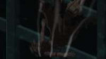 [Erai-raws] Boku no Hero Academia S6 - 21 [1080p].mkvsnapshot17.14.293.jpg