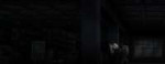 vlcsnap-2025-07-06-21h24m35s438stitch.jpg