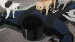 vlcsnap-2025-07-13-23h59m00s802.jpg