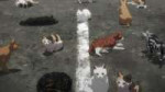 vlcsnap-2025-07-14-00h02m11s145.jpg