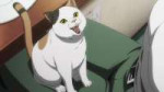 vlcsnap-2025-07-20-23h16m47s947.jpg