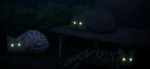 vlcsnap-2025-07-20-23h30m30s875stitch.jpg