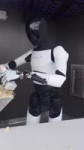 .mp4