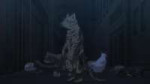 vlcsnap-2025-07-28-01h40m16s631.jpg