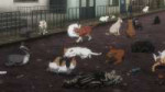 vlcsnap-2025-07-28-02h04m47s277.jpg